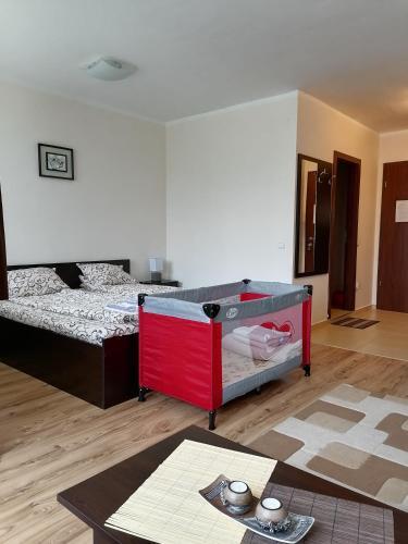 Apartamento Borovets Gardens Studio D36