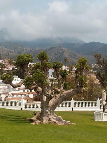 Apartamento Ladera Del Mar 1 - Nerja