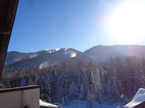 Apartamento Yastrebetz View