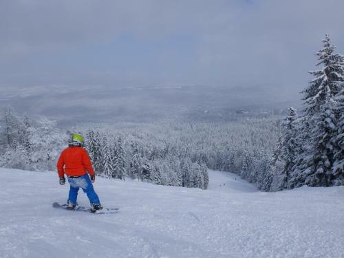 Borovets Apartment, Villa Park