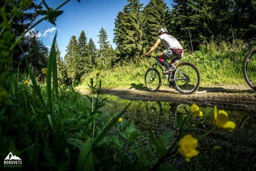 Borovets Gardens B30 Morunov Apart