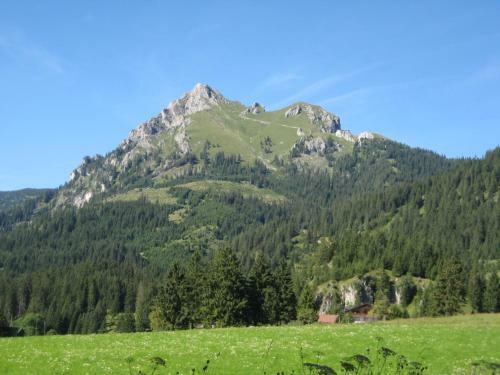 Apartamento Haus Bergwelt