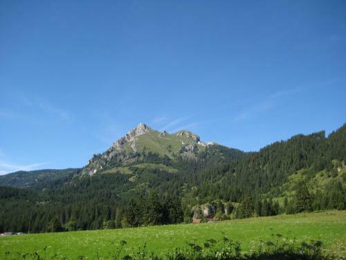 Apartamento Haus Bergwelt