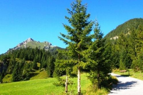 Apartamento Haus Bergwelt