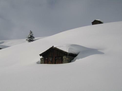 Hostal Tschatscha Nova
