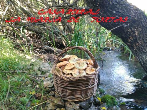 Agroturismo La Mar�a de Tortas