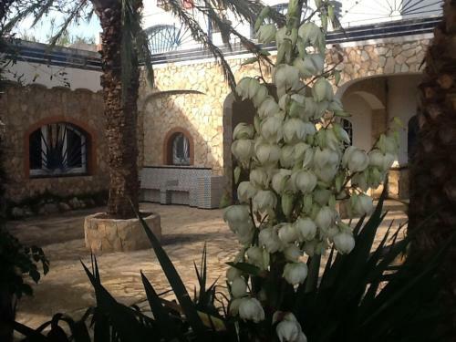 Hostal Pao Blau