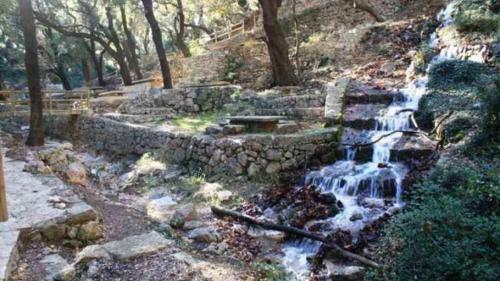 L'antic Forn de Pa�ls