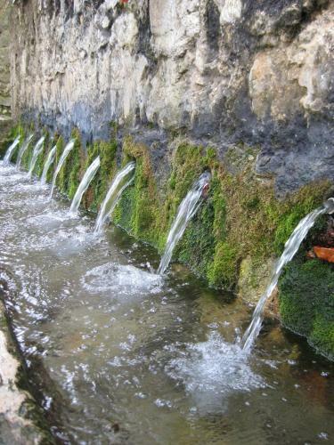 L'antic Forn de Pa�ls