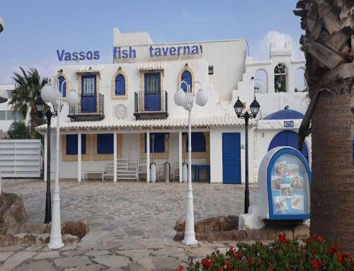 Apartamento Ayia Napa Sun Central