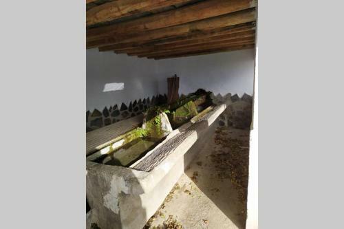 Apartamento En Nevada. La Casa de Isabel Mar�a