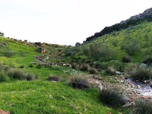 Casa Rural En El Cerro Del B�ho