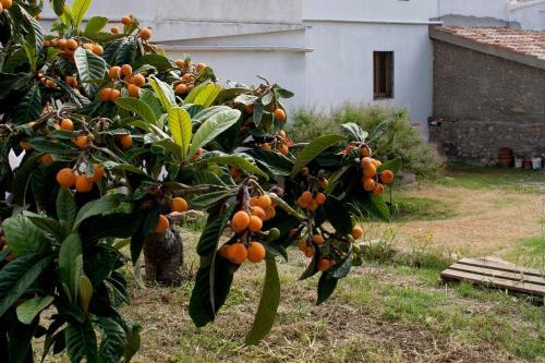Agroturismo Maset de La Costa
