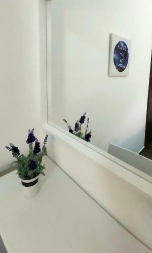 Apartamento Panthoma Casa