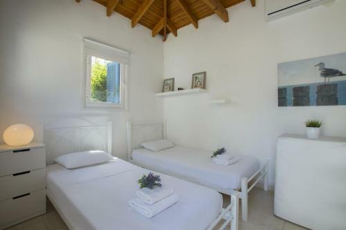 Villa In Ayia Napa With A Pool!