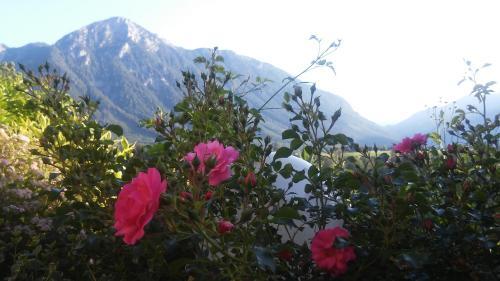 Apartamento Ferienwohnung "kaiserblick"