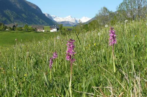 Apartamento Haus Stangl