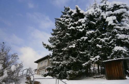Hotel Haus Franziskus Mariazell