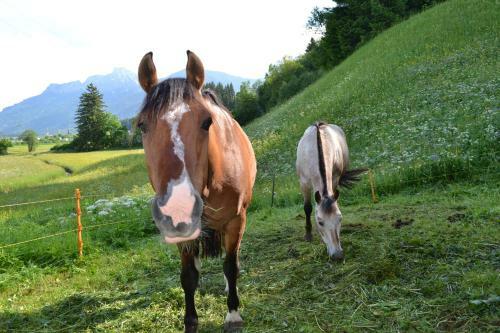 Hostal Pension Waldrast