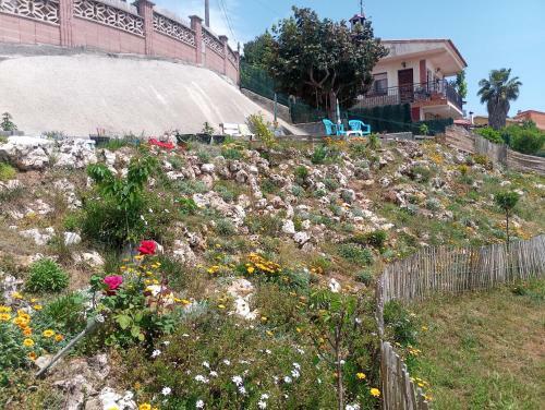 Apartamento Casaemy