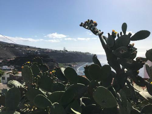Terraza Del Atl�ntico