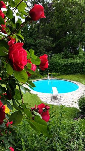 Hostal Landhaus Am Kurpark
