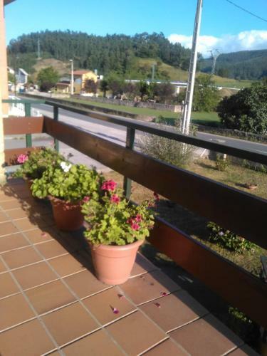 Casa Con Jardin