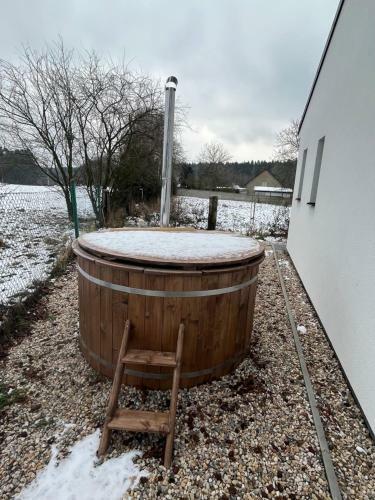 Vilka Petra Pod Bezd?zem
