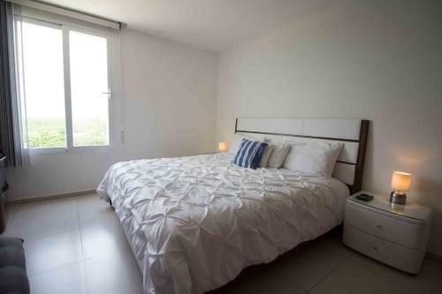Apartamento Caribe Beachfront 2 Br - Incredible Oceanview