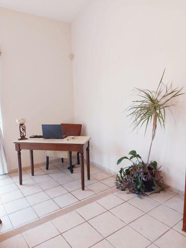 Casa de Osho Luxury Villa