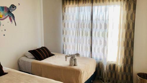 Apartamento Delfin Dreams Canc�n