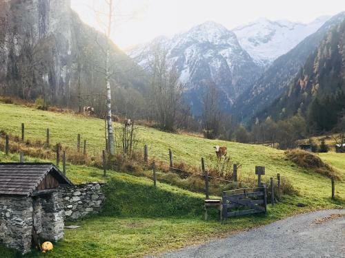 Apartamento Forsthaus Malerwinkel