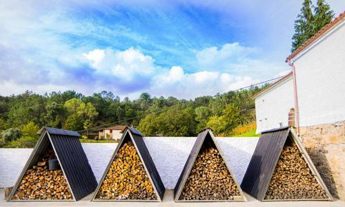 Pena De Roca