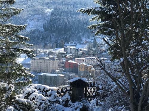 Apartamento Villa Maria Bad Gastein