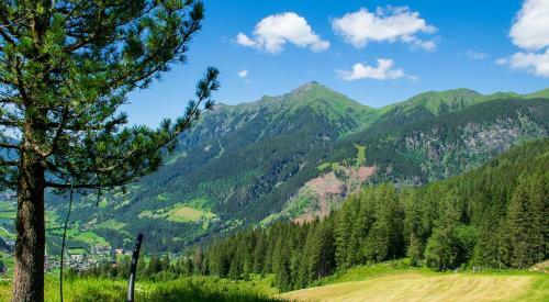 Schachenh�tte Bad Gastein Nationalpark Hohe Tauern