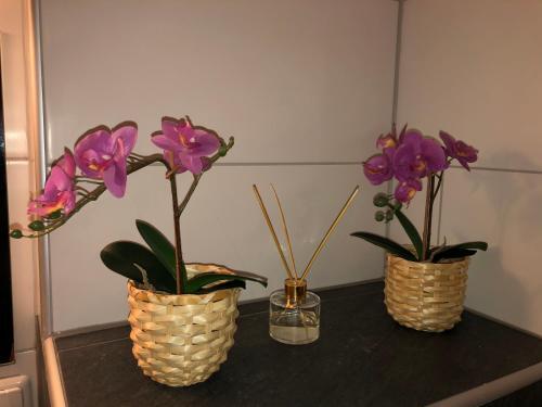 Apartamento Wohlf�hlapartment Dachsteinblick