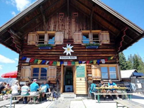 Apartamento Wohlf�hlapartment Dachsteinblick