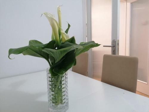 Apartamento Bolboreta