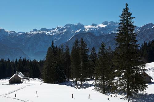 Chalet 164