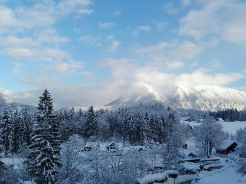 Apartamento Alpenblick Suite