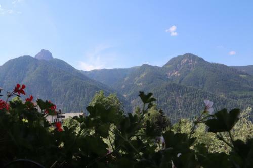Hostal Pension Bichlgeiger