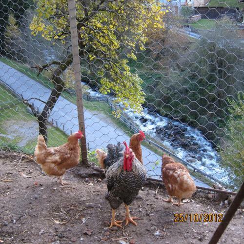 Agroturismo Lexhof