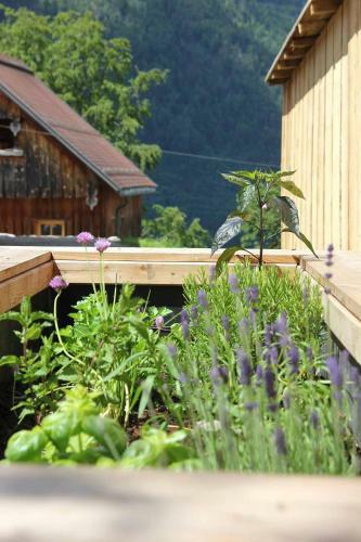 Haus Am Salz