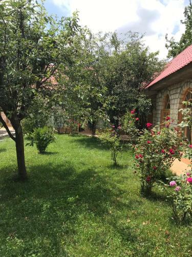 Sheki Apartments
