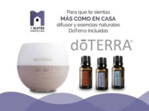 Apartamento +ms +suite C�moda +inmejorable Ubicaci�n +150mb 119a