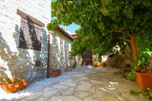 Dioni Palace By Agroholidays