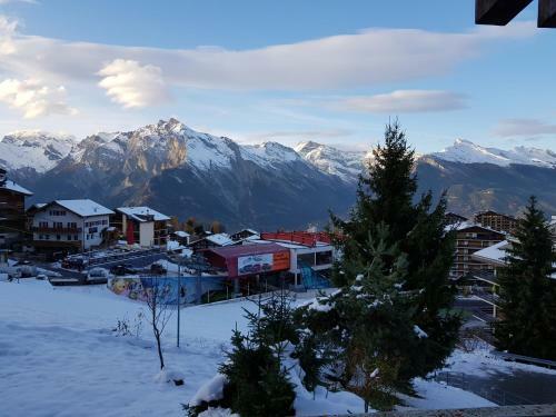 Apartamento Studio Hauts-de-nendaz G2 Ski In-out