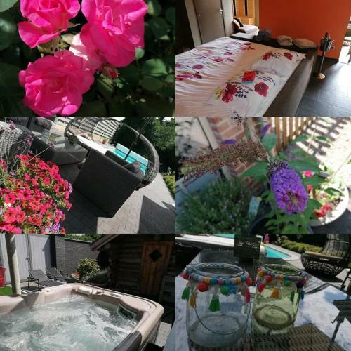 Luxe Wellness B&B Tim Torfs *****
