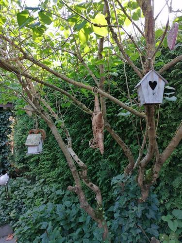 Luxe Wellness B&B Tim Torfs *****