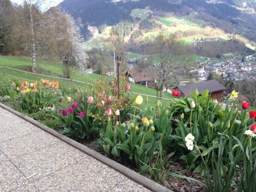 Apartamento Haus Gr�ner Wald